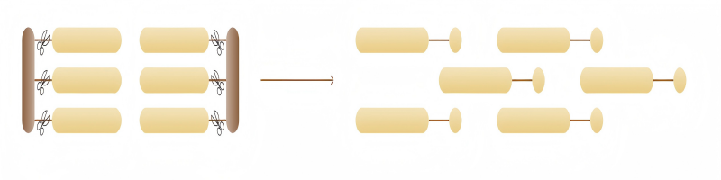 Sunori® S-RSF